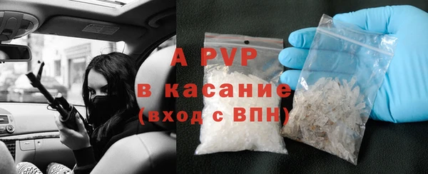 стафф Арсеньев