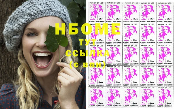 стафф Арсеньев