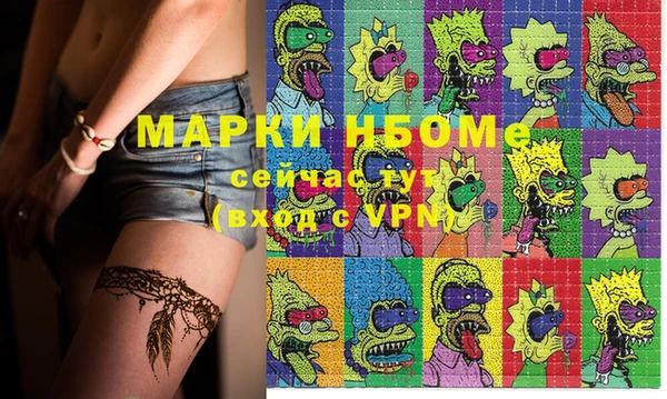 индика Армянск