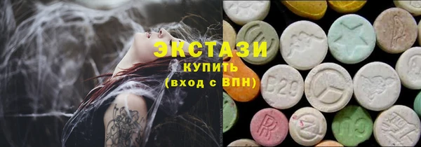 индика Армянск