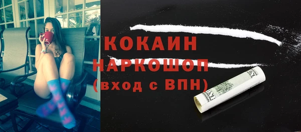 индика Армянск