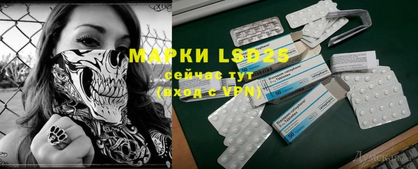 индика Армянск