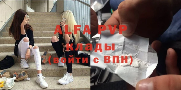 стафф Арсеньев