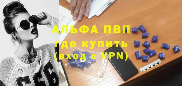 стафф Арсеньев