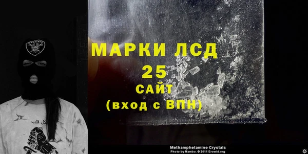 стафф Арсеньев