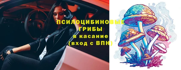стафф Арсеньев