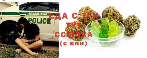 индика Армянск
