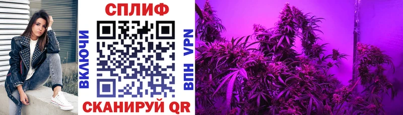 нарко площадка как зайти  Лыткарино  Бошки Шишки Ganja 
